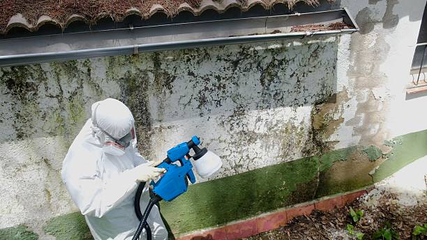 Top rated local Mold Remediation specialists in Four Oaks, NC